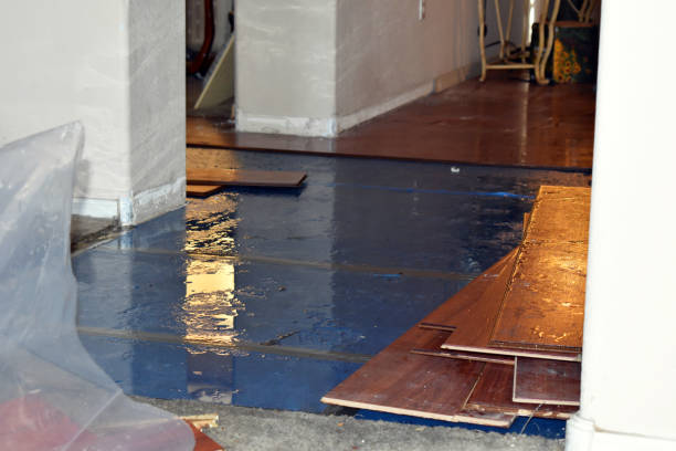 Professional Burst Pipe Cleanup technician working in South Hamilton, MA